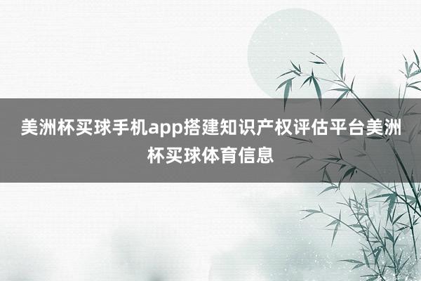 美洲杯买球手机app搭建知识产权评估平台美洲杯买球体育信息