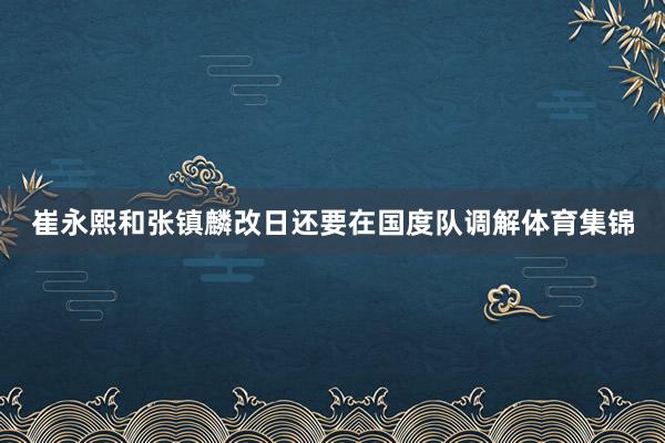 崔永熙和张镇麟改日还要在国度队调解体育集锦