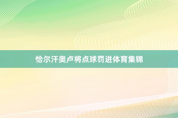 恰尔汗奥卢将点球罚进体育集锦