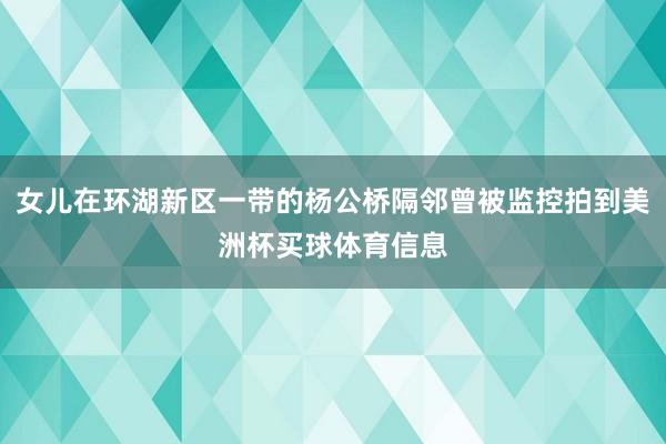 女儿在环湖新区一带的杨公桥隔邻曾被监控拍到美洲杯买球体育信息