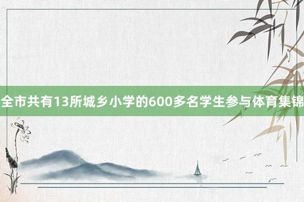 全市共有13所城乡小学的600多名学生参与体育集锦