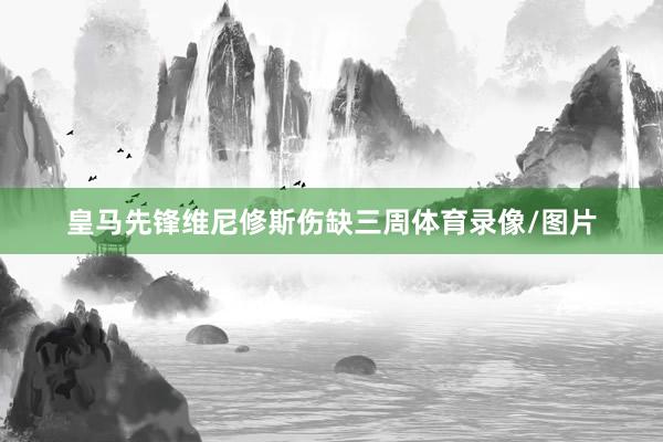 皇马先锋维尼修斯伤缺三周体育录像/图片