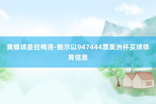 黄蜂球星拉梅洛-鲍尔以947444票美洲杯买球体育信息